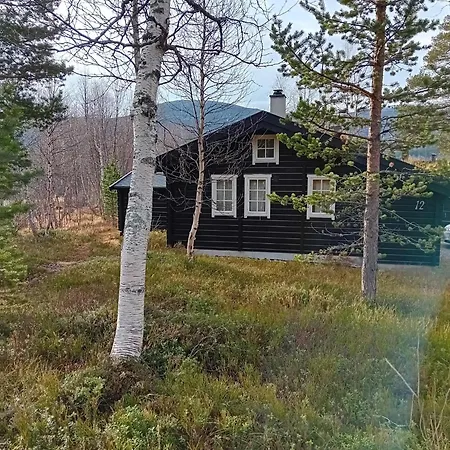 Casa vacanze Bjorlicabin *