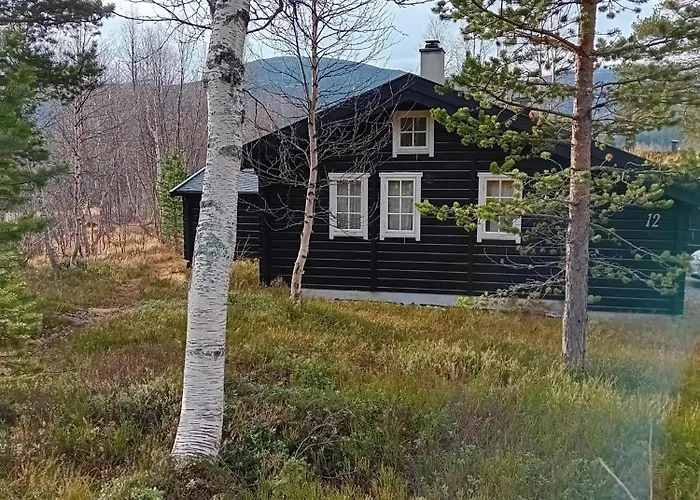 Tatil Evi Bjorlicabin *
